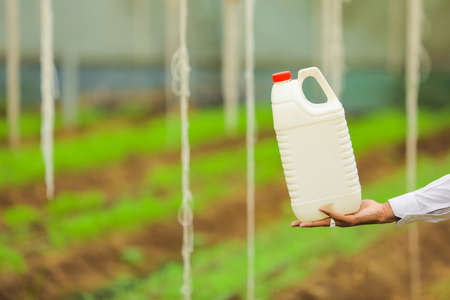 Young agronomist holding bottle in hand at greenhouseの写真素材