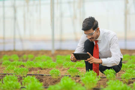 Technology and people concept, Young indian agronomist using tablet or smartphone at greenhouseの写真素材