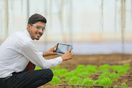 Technology and people concept, Young indian agronomist using tablet or smartphone at greenhouseの写真素材