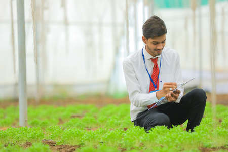 Young Indian agronomist using notepad for collecting some information at greenhouse