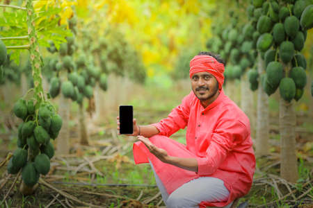 Young indian child showing mobile phone screen at papaya fieldの写真素材