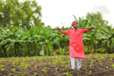 Young indian farmer in traditional wear and holding wooden stick in hand at banana fieldの写真素材