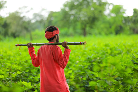 Young indian farmer in traditional wear and holding wooden stick in hand at fieldの写真素材