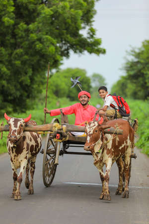 牛車の写真 イラスト素材一覧 916件 ストックフォトのamanaimages Plus