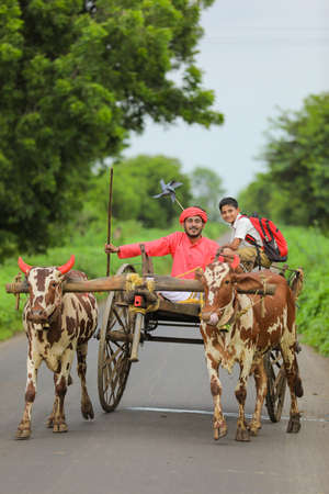 牛車の写真 イラスト素材一覧 916件 ストックフォトのamanaimages Plus