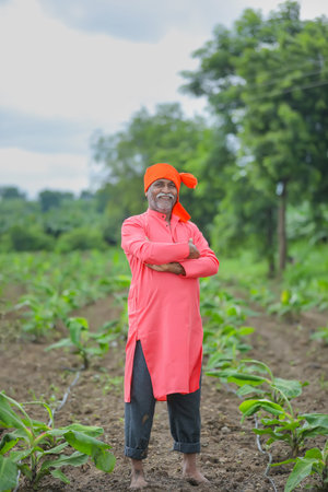 Happy indian farmer standing and smile at fieldの写真素材
