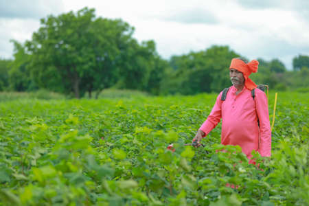 indian farmer spraying pesticide at cotton field