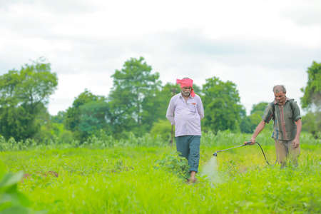 indian farmer and labour spraying pesticide at field