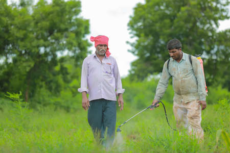 indian farmer and labour spraying pesticide at fieldの写真素材