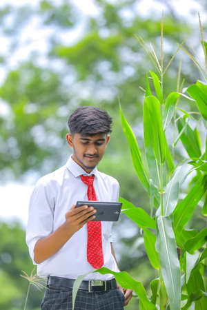 Young indian agronomist analyze corn field and looking some information in smartphoneの写真素材