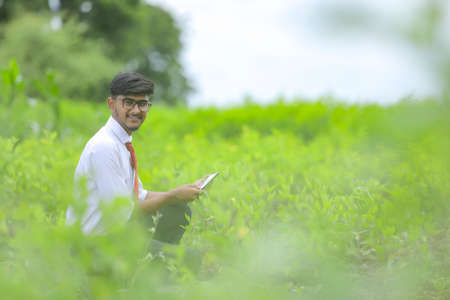 Indian agronomist using smartphone and collecting some information at fieldの写真素材