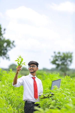 Agronomist Working on laptop in green farm