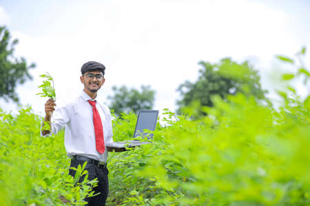Agronomist Working on laptop in green farmの写真素材