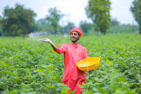 Indian farmer spreading fertilizer in the green cotton field