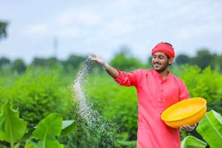 Indian farmer spreading fertilizer in the green banana fieldの写真素材