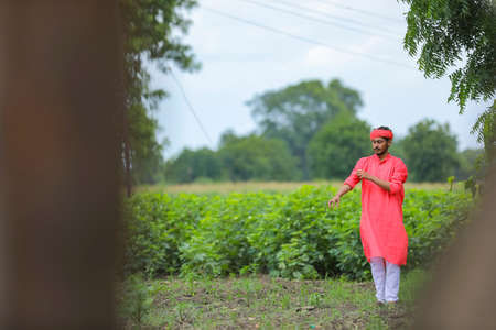 young indian farmer walking and observation in his field