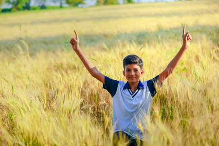 Indian / Asian little boy playing in wheat fieldの写真素材