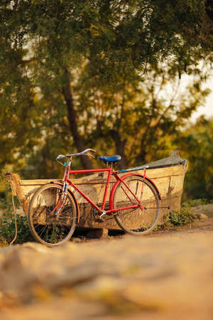 Paddle boats and old cycle standing lake side.の写真素材