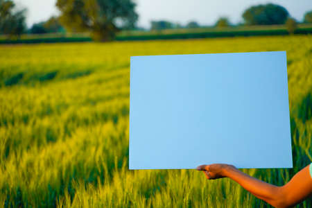 empty cardboard in farmer hand, agricultural backgroundの写真素材