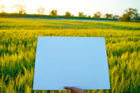 poster template background of agriculture backgroundの写真素材