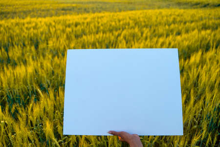 poster template background of agriculture background