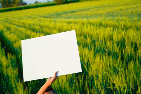 poster template background of agriculture backgroundの写真素材