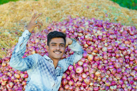 Young Indian farmer holding an onion in hand at agriculture fieldの写真素材
