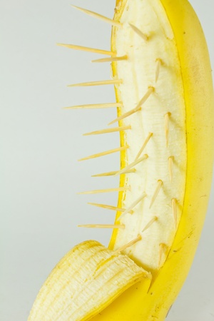 Ripe banana with spine is mean something very easy like eating banana become very difficultの写真素材