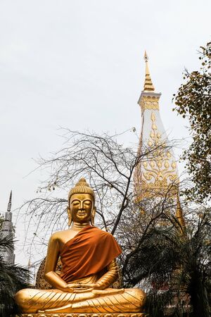 Golden Buddha statue with Thai pagodaの写真素材