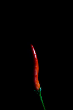 Fresh red chili isolate on black background, Portrait photo