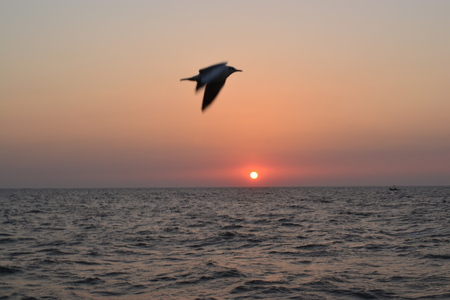 Indian Ocean Mumbaiのeditorial素材