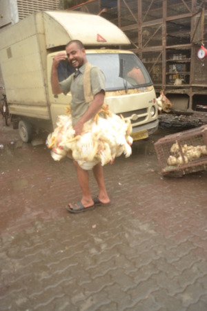 Chicken Vendor in Crawford Market, Mumbaiのeditorial素材
