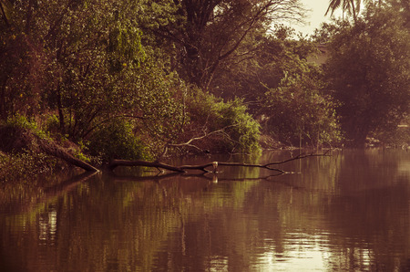 Coutryside, Goa, Indiaのeditorial素材