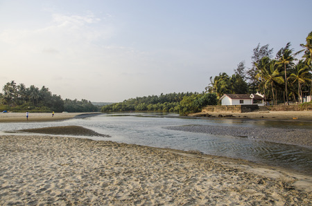 Mandrem Beach, Goa, Indiaのeditorial素材
