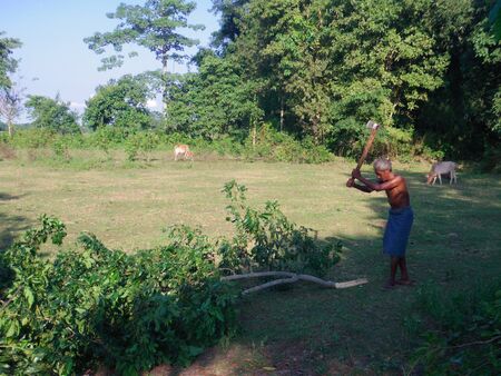 Majuli Island, Assamのeditorial素材