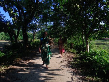Majuli Island, Assamのeditorial素材