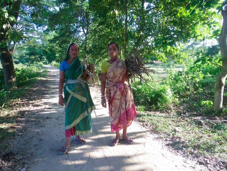 Majuli Island, Assamのeditorial素材