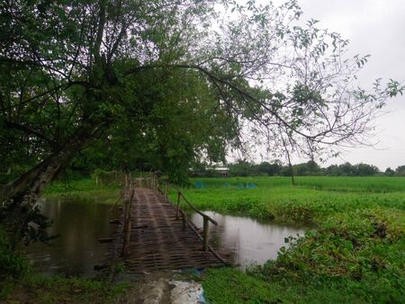 Majuli Island, Assamのeditorial素材