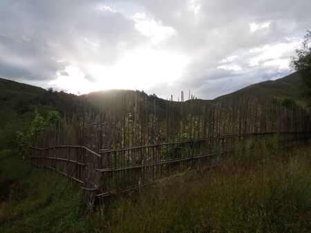 A rural farm in Dorjeling, Arunachal Pradeshのeditorial素材