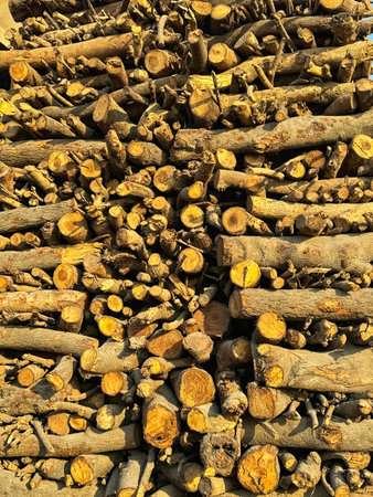 Pile of firewood ready for winter, closeup of photoの写真素材