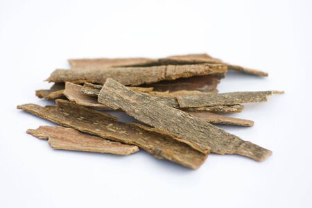 Dark  stick of cinnamon or dalchini  in a isolated background の写真素材