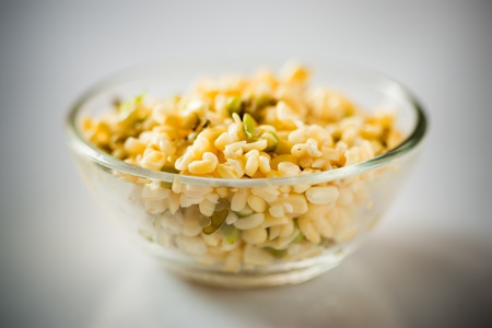 Mung beenの写真素材