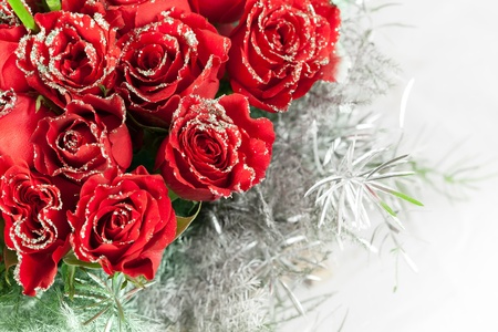 Beautiful red rose  flowers with sparkle particlesの写真素材