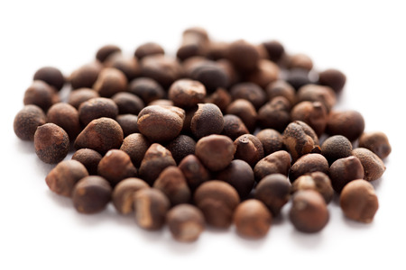 Collection of Santalum album (Indian sandalwood) seed.の写真素材