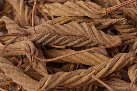 Close up of dry Helicteres Isora (Marod Phali (hindi), Indian Screw Tree) herbs an ayurvedic medicine.の写真素材
