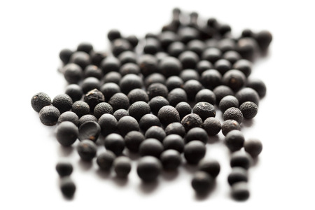 Close up collection of Shatavari Seeds (Asparagus Racemosus) over white backgroundの写真素材