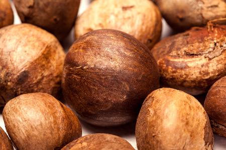 Collection of brown Betel nut unroasted untreated (Areca catechu)の写真素材