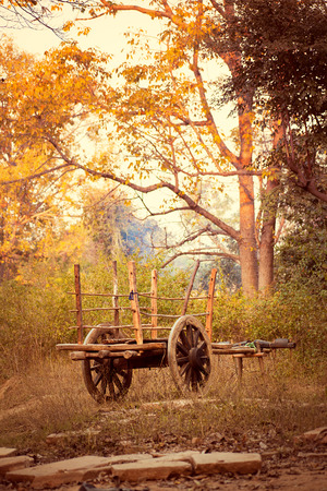 Beautiful view of old bullock cart in the countrysideの写真素材