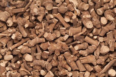 Organic Ganthoda or Long pepper Roots Piper longum closeup background texture.