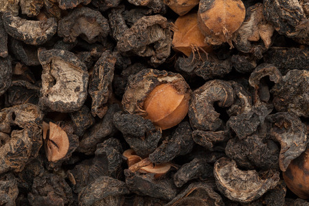 Organic dried Indian gooseberry (Phyllanthus emblica) with whole seeds. Macro close up background texture. Top view.の写真素材